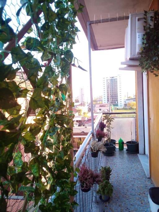 C&C - Cozy And Cute Apartment มิลาน ภายนอก รูปภาพ