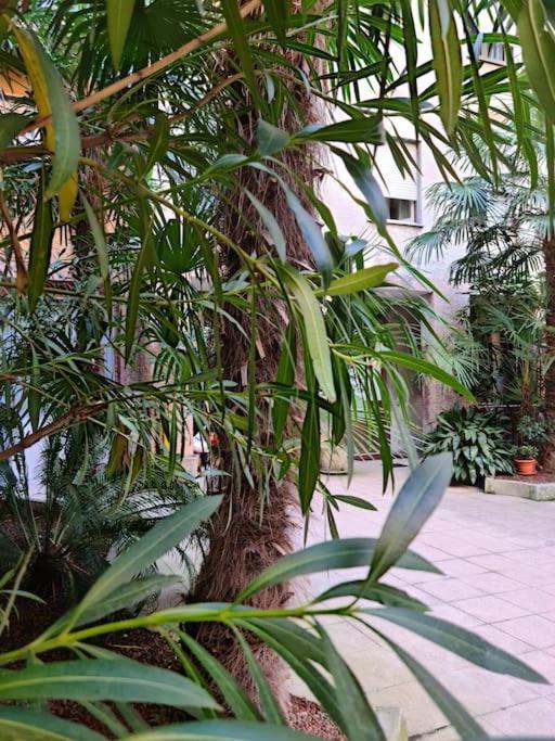 C&C - Cozy And Cute Apartment มิลาน ภายนอก รูปภาพ